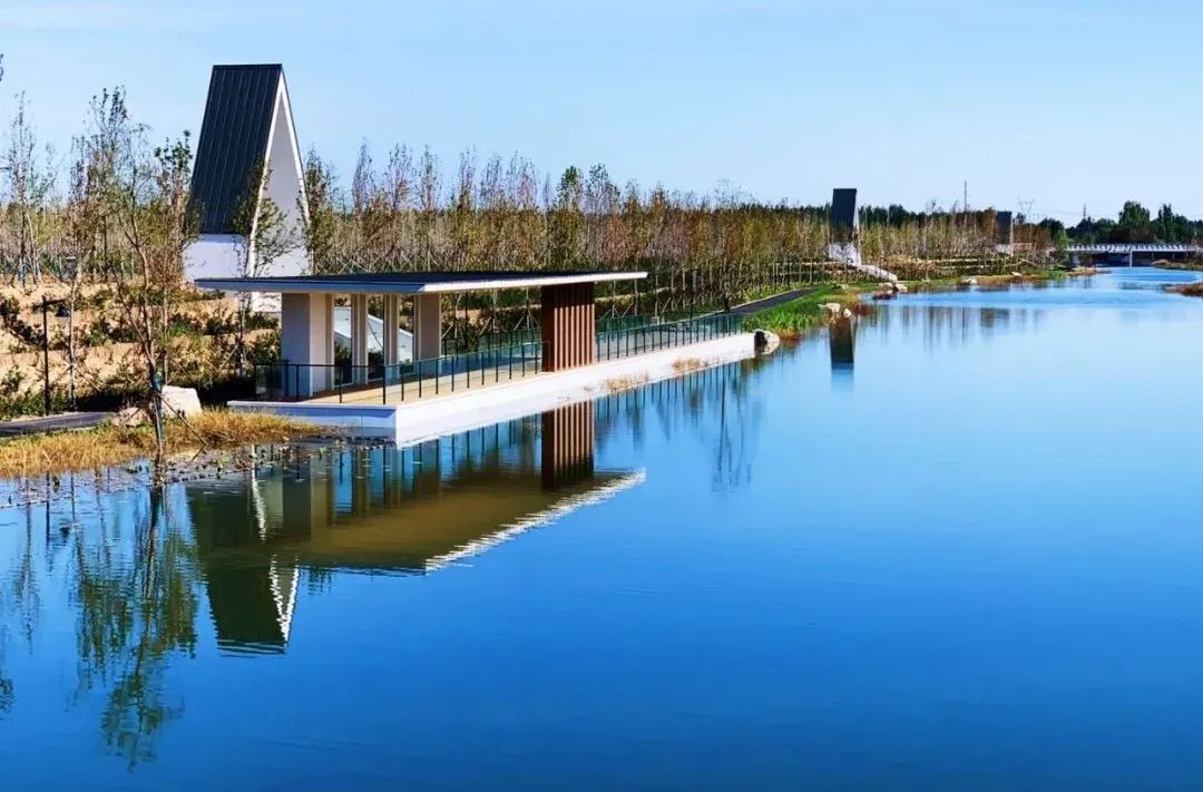 乡村振兴100讲全集,100个经典乡村振兴案例