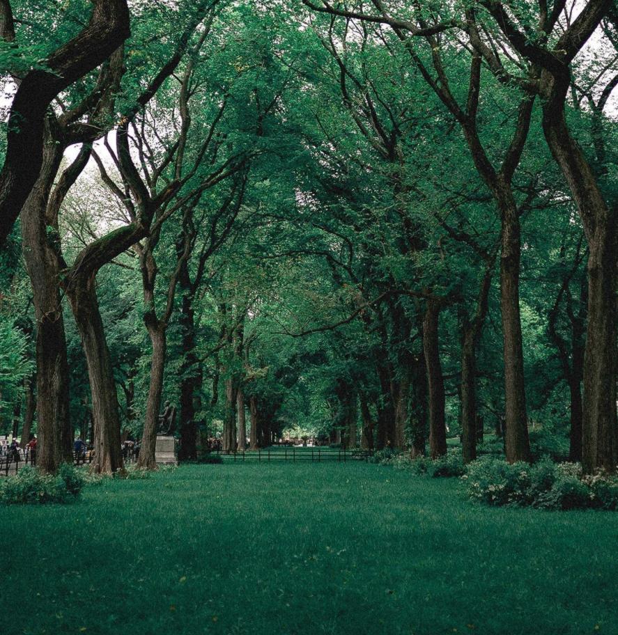 基本宫星座与固定宫星座,基本宫星