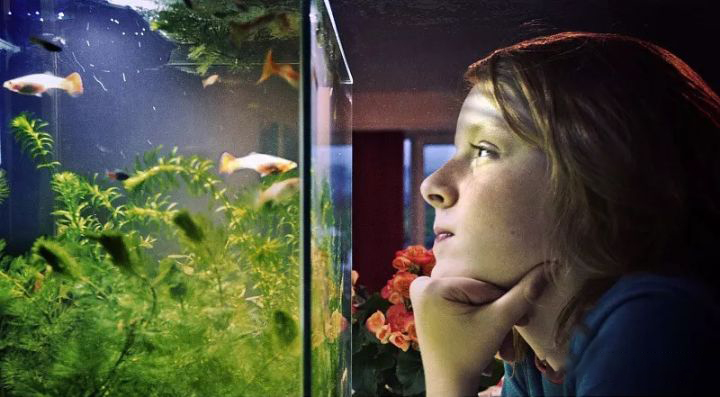 大型鱼缸制作全过程自制,自制简易大型鱼缸全部过程