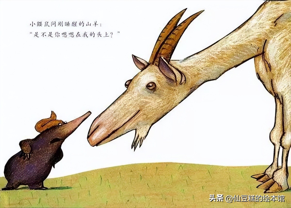 绘本阅读引导小朋友学会面对生气,适合2-3岁小孩阅读的绘本