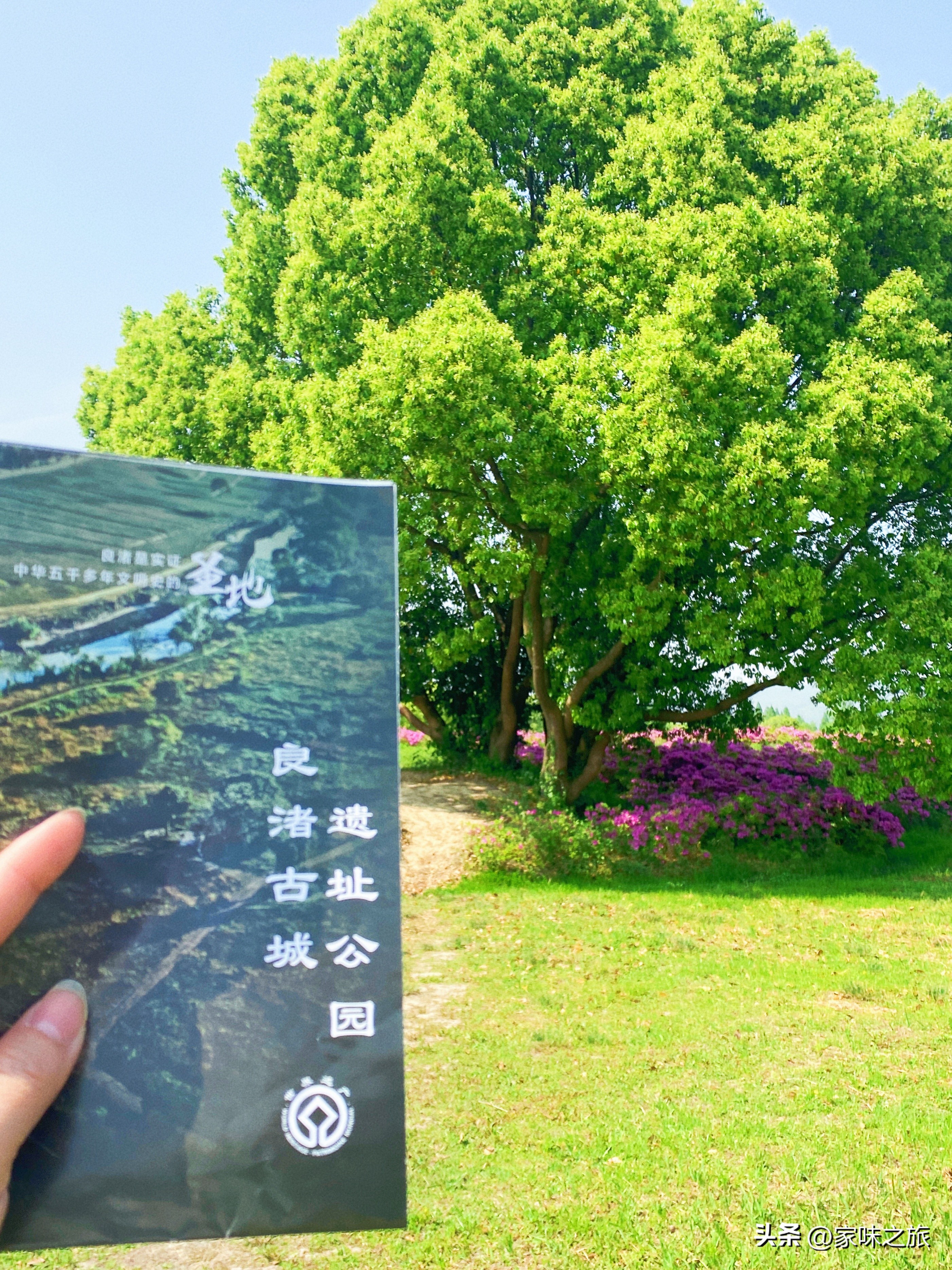 打卡杭州良渚古城遗址,杭州旅游攻略良渚古城