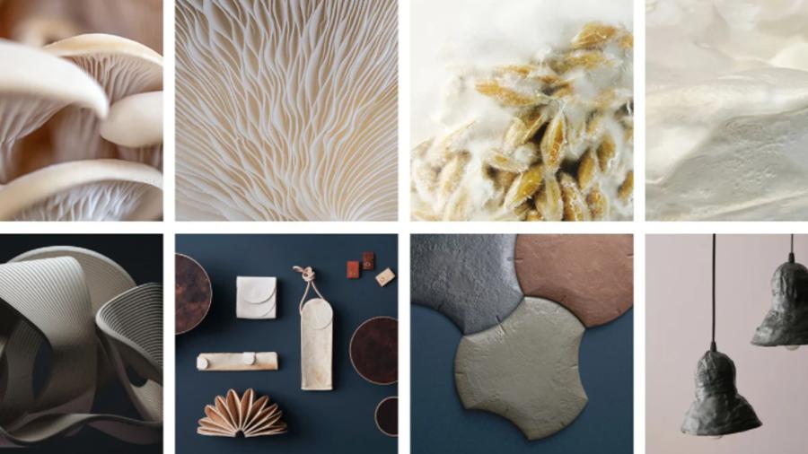 韩国生物基初创公司Mycel获新一轮融资，用菌丝体制造皮革替代品