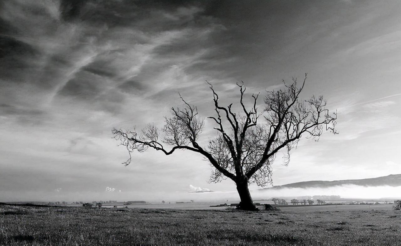 巨型猛犸为何灭绝,猛犸多少年前灭绝的