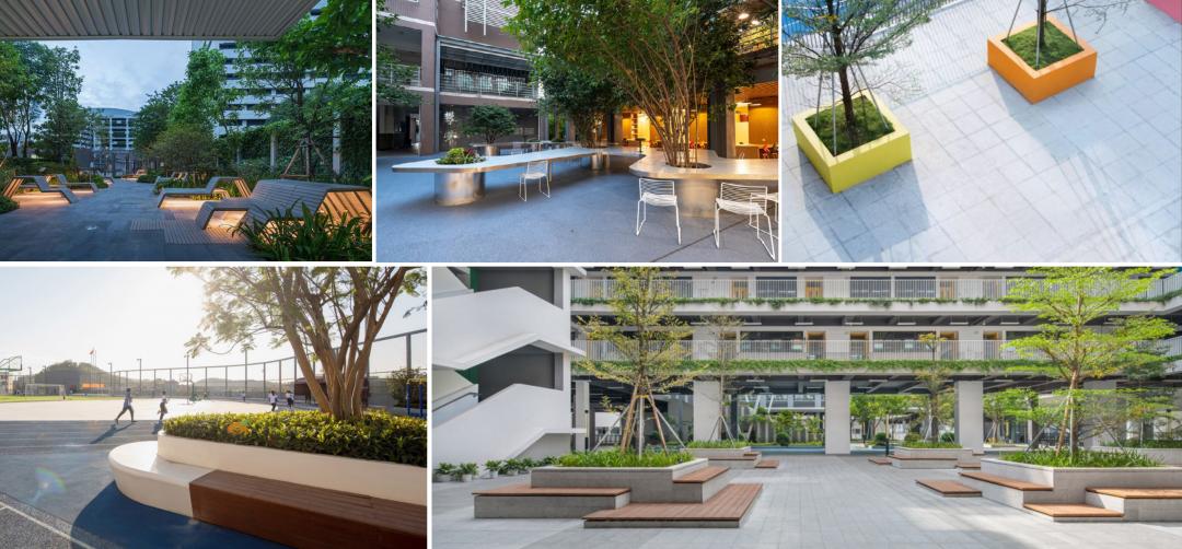 打造学生健康快乐成长的“林中学堂”，这所深圳高中做到了！