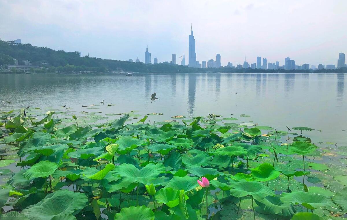 南京六朝古都游玩攻略,南京被称为六朝古都分别是哪六朝