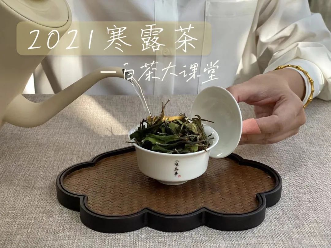 好的白茶茶汤的口感以什么为主,什么味道的白茶才是好白茶