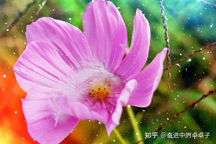 如何实现理想文案,如何实现理想追求