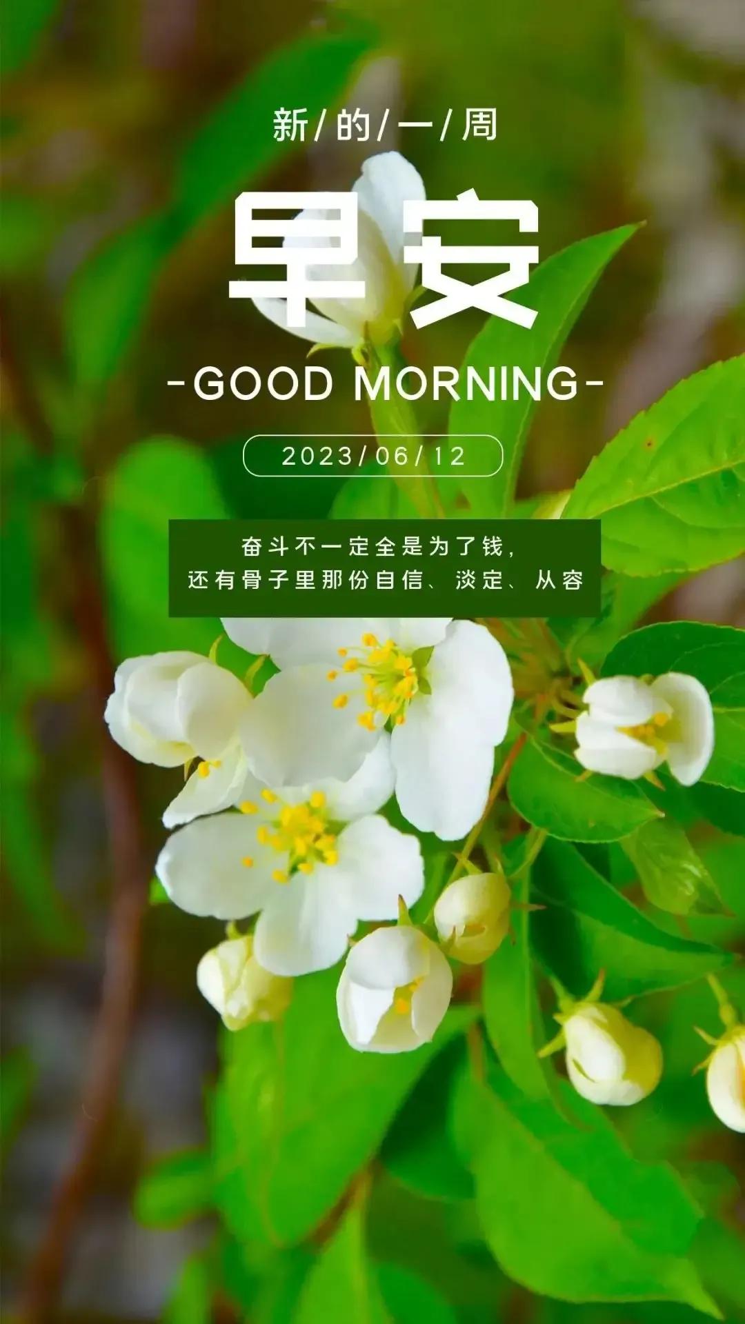 乙木命2023年癸卯年运势怎样,农历2023年癸卯年正月结婚吉日