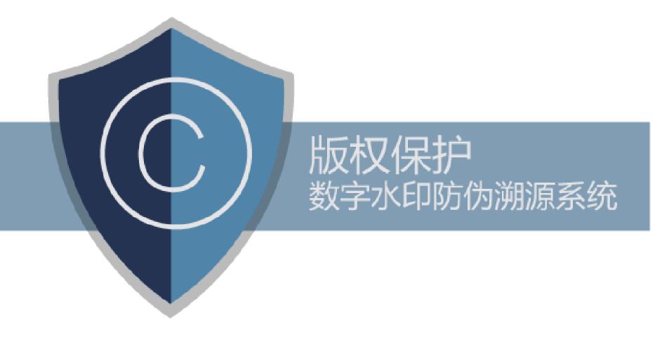 发布在网上的照片，应该使用数字水印还是半隐形水印？