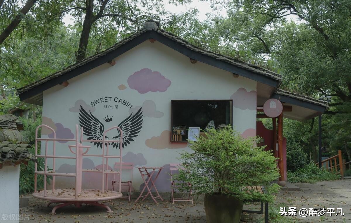 杭州西溪湿地为什么是5a,杭州国家西溪湿地