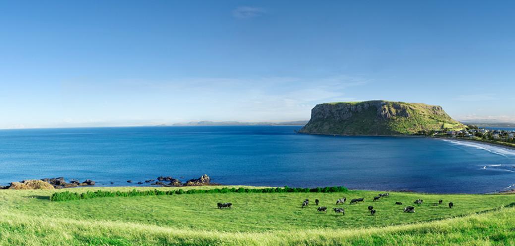 贝拉米有机a2奶粉,澳洲贝拉米有机奶粉怎么样