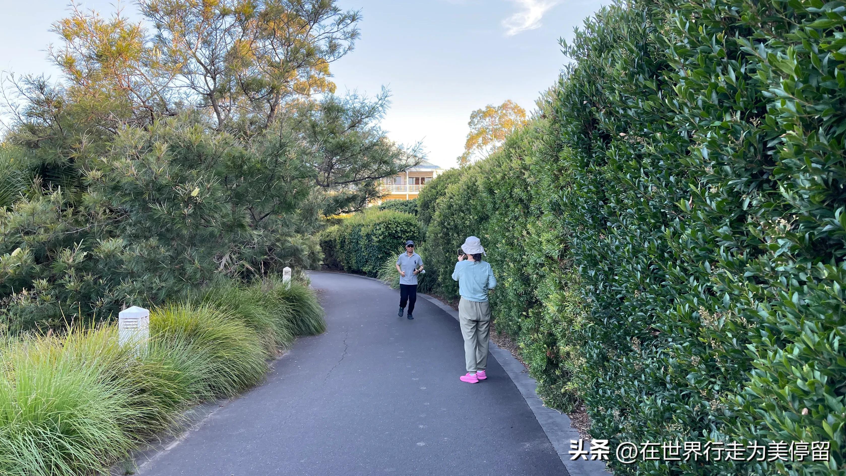 悉尼旅游必买清单,悉尼旅行必备