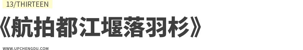 成都向上最新信息,年度向上力量合照