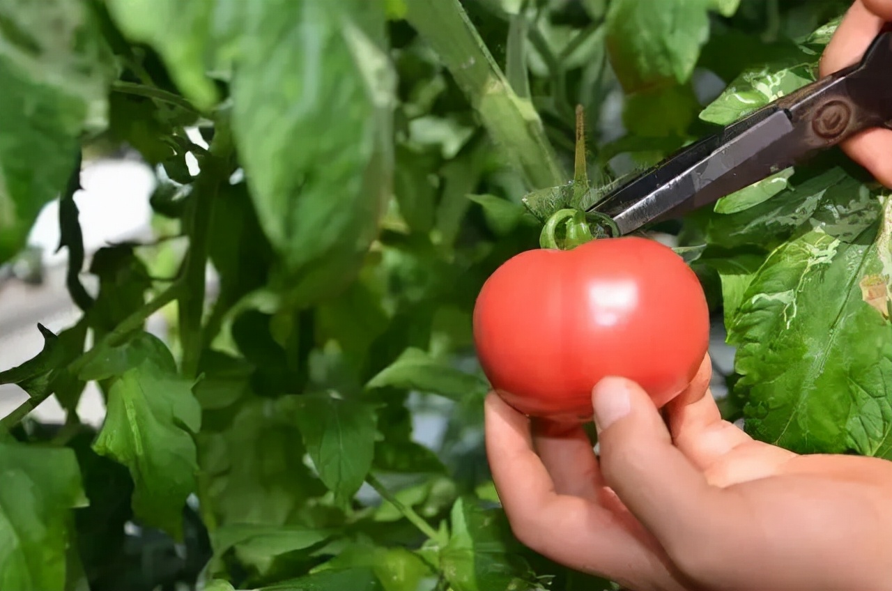 小娜原创的原声,甜歌小娜原创的音乐