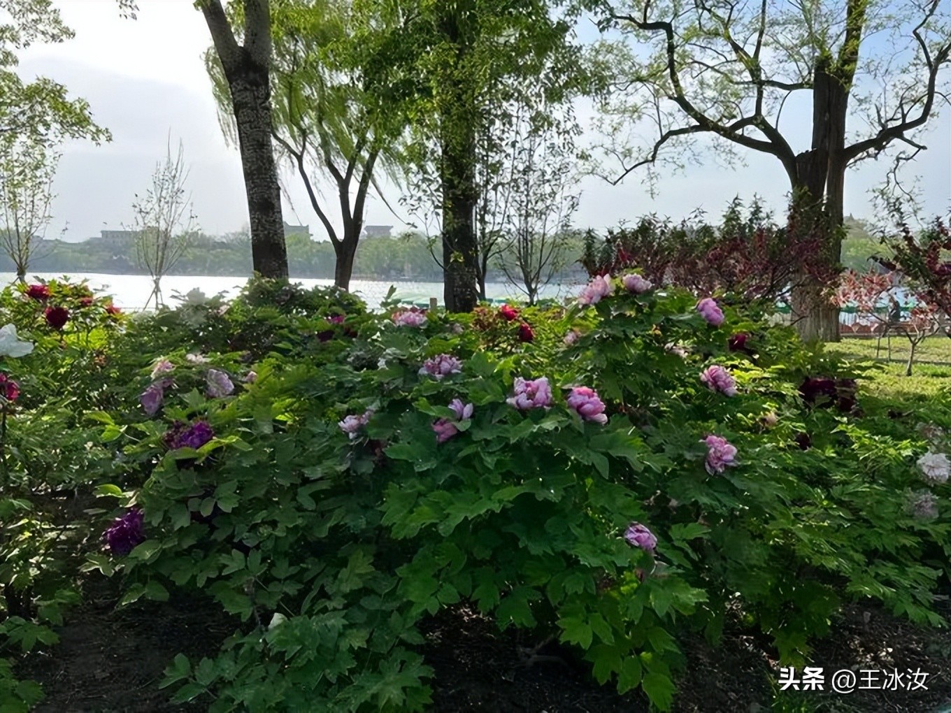 美国大使坐高铁,美国大使乘坐中国高铁