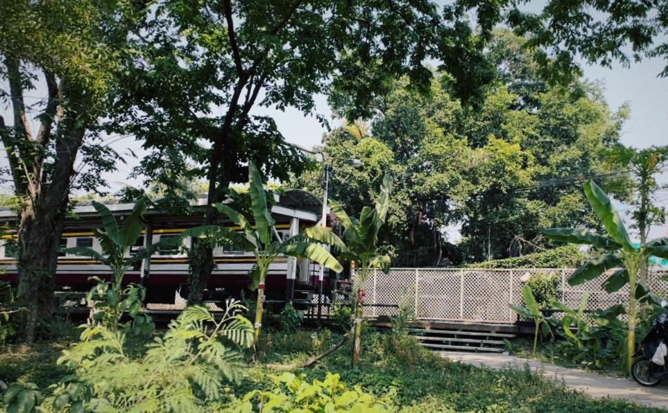 坐泰国火车,泰国坐火车需多少钱啊