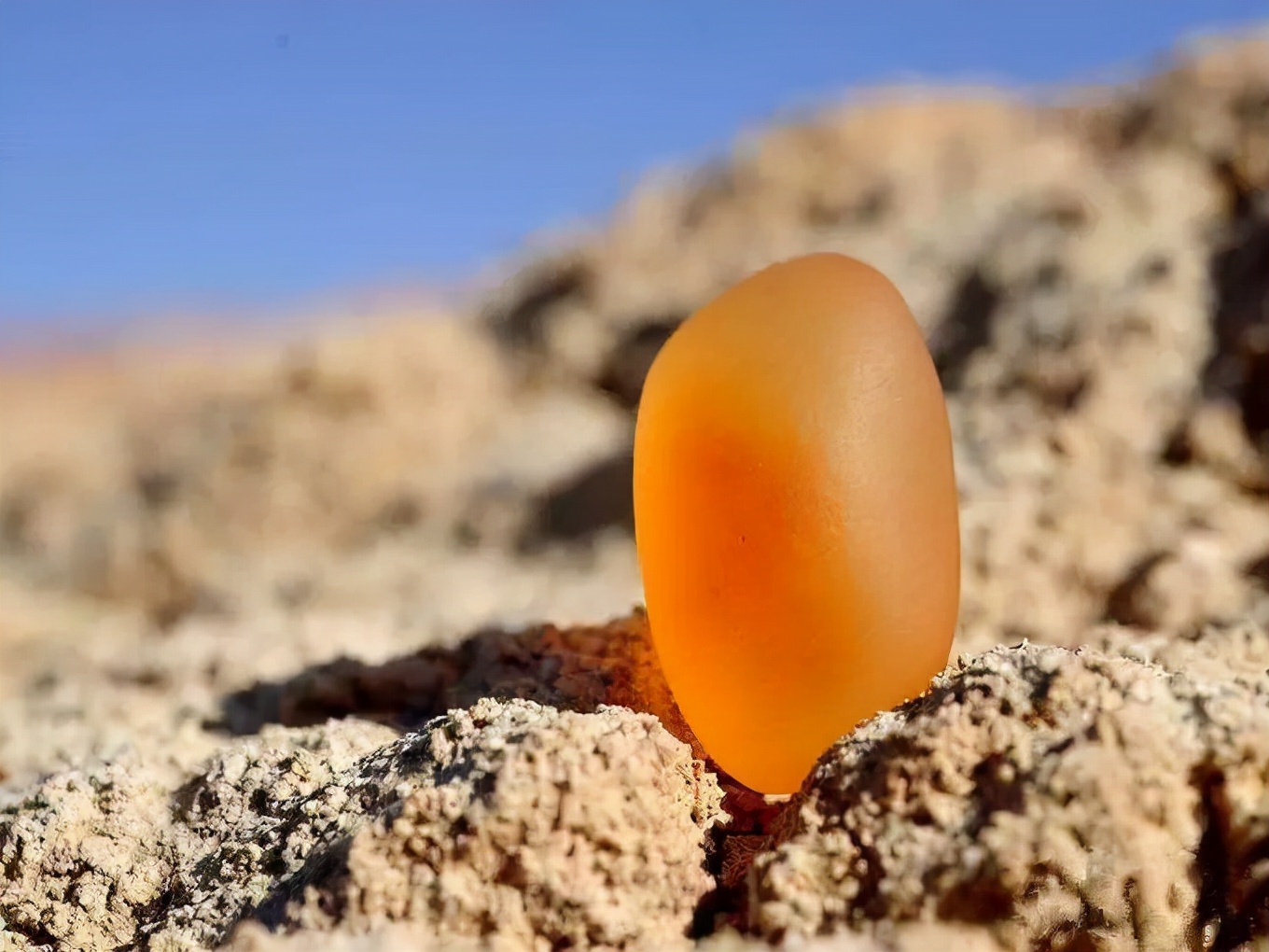 戈壁滩上的什么石头最值得收藏,戈壁滩黑色带蜂窝石头是什么石