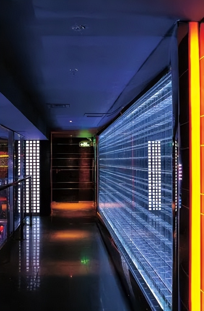 gta会所和夜总会的区别,酒吧ktv会所夜总会的区别