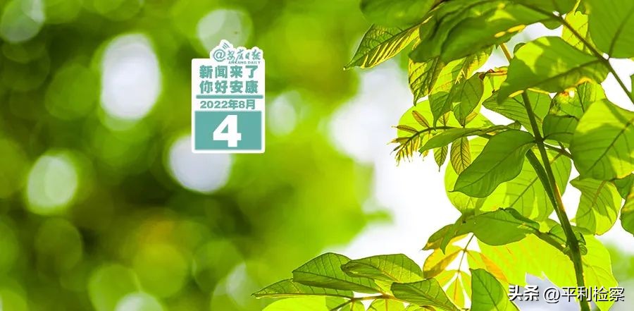 新闻来了，你好安康2022.8.4