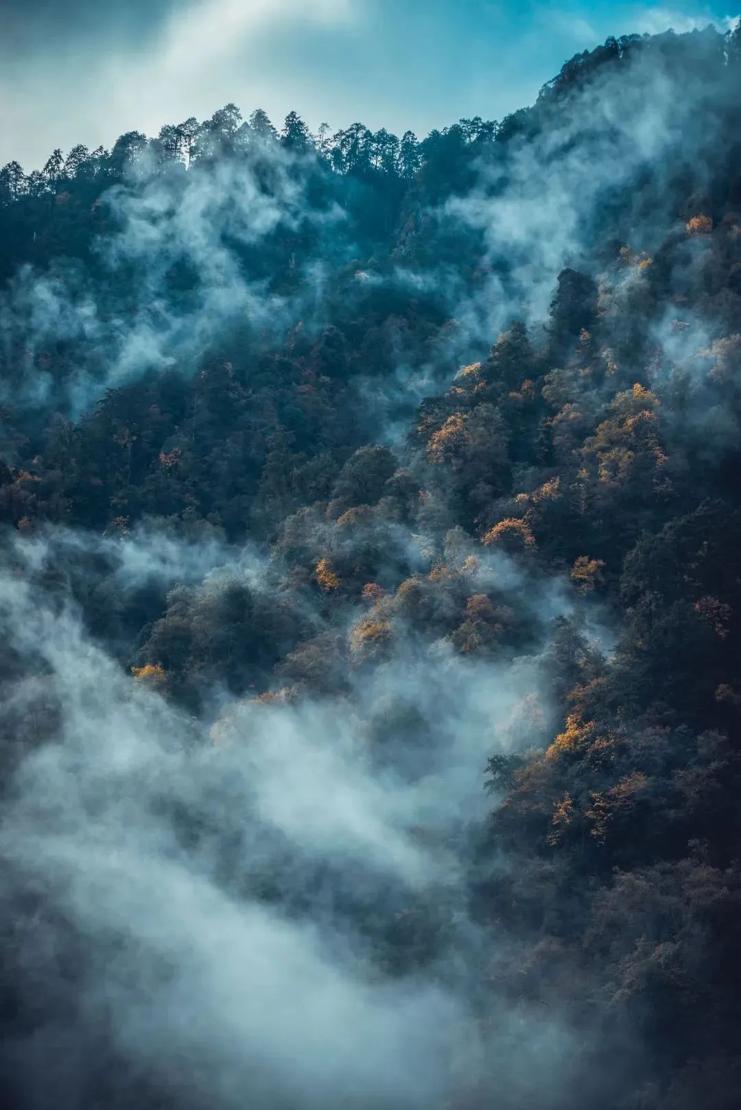 火出了圈,甘孜文旅局长化身侠客火出圈