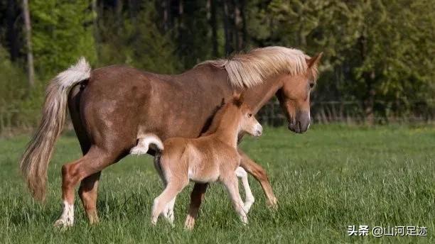和圣故里，旧称黄湖，为皖地设县最晚的县城之一