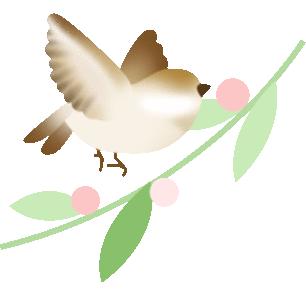 里下河国家湿地公园【李中水上森林公园】：解锁沉浸式旅游新玩法