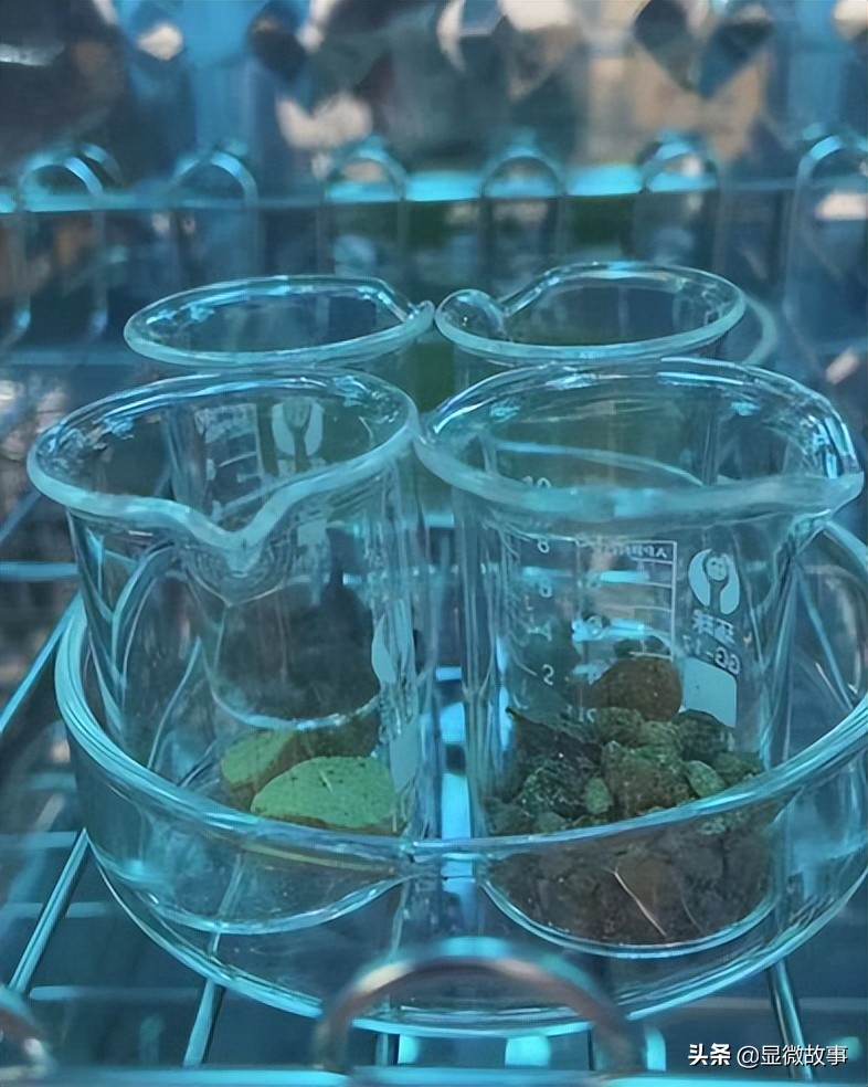 当年轻人买不起新口红，有一群人修复彩妆月入过万