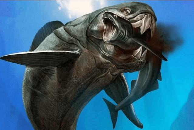 舌头是最强韧有力的肌肉，为什么人类不进化出用舌头打架？