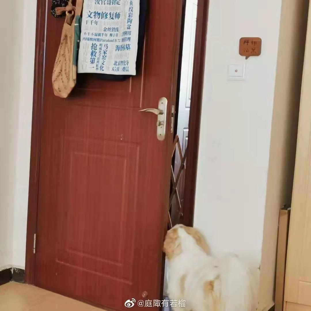 有趣的晒包文案,有趣的报纸文案