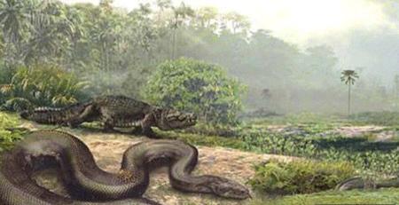 60斤巨蟒被挖掘机挖出,工地挖出24公斤巨蟒