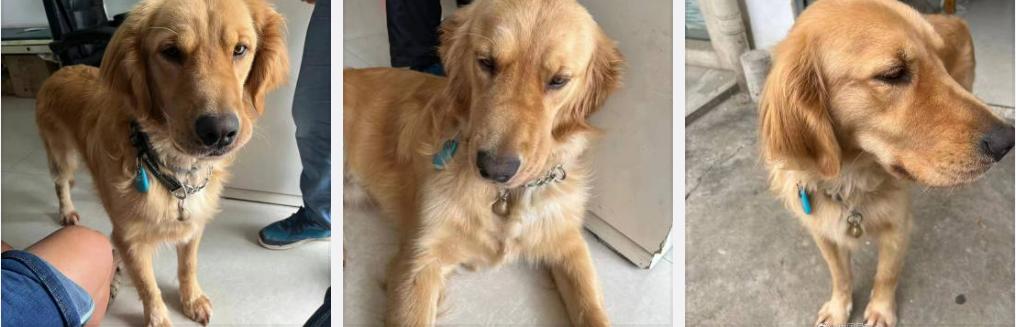 韩国第一夫人履历,现在韩国第一夫人资料