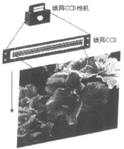 ccd图像传感器被替代原因,ccd图像传感器国内外研究现状