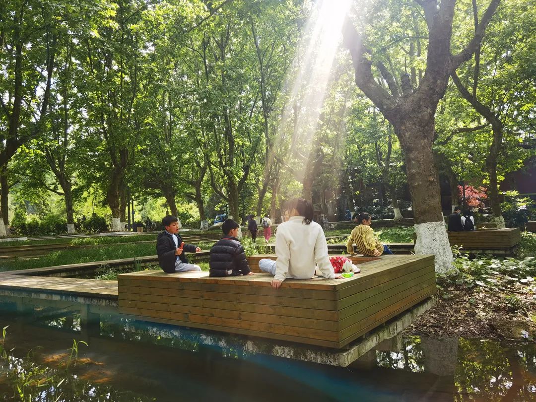 必去的花溪公园,假期余额不足游玩依旧火热