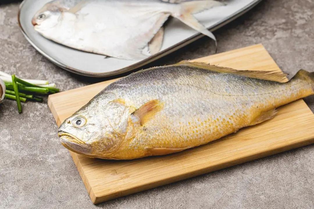 硬骨鱼纲鲈形目石首鱼科尽是好吃的海鱼啊!其中大小黄鱼最有名了