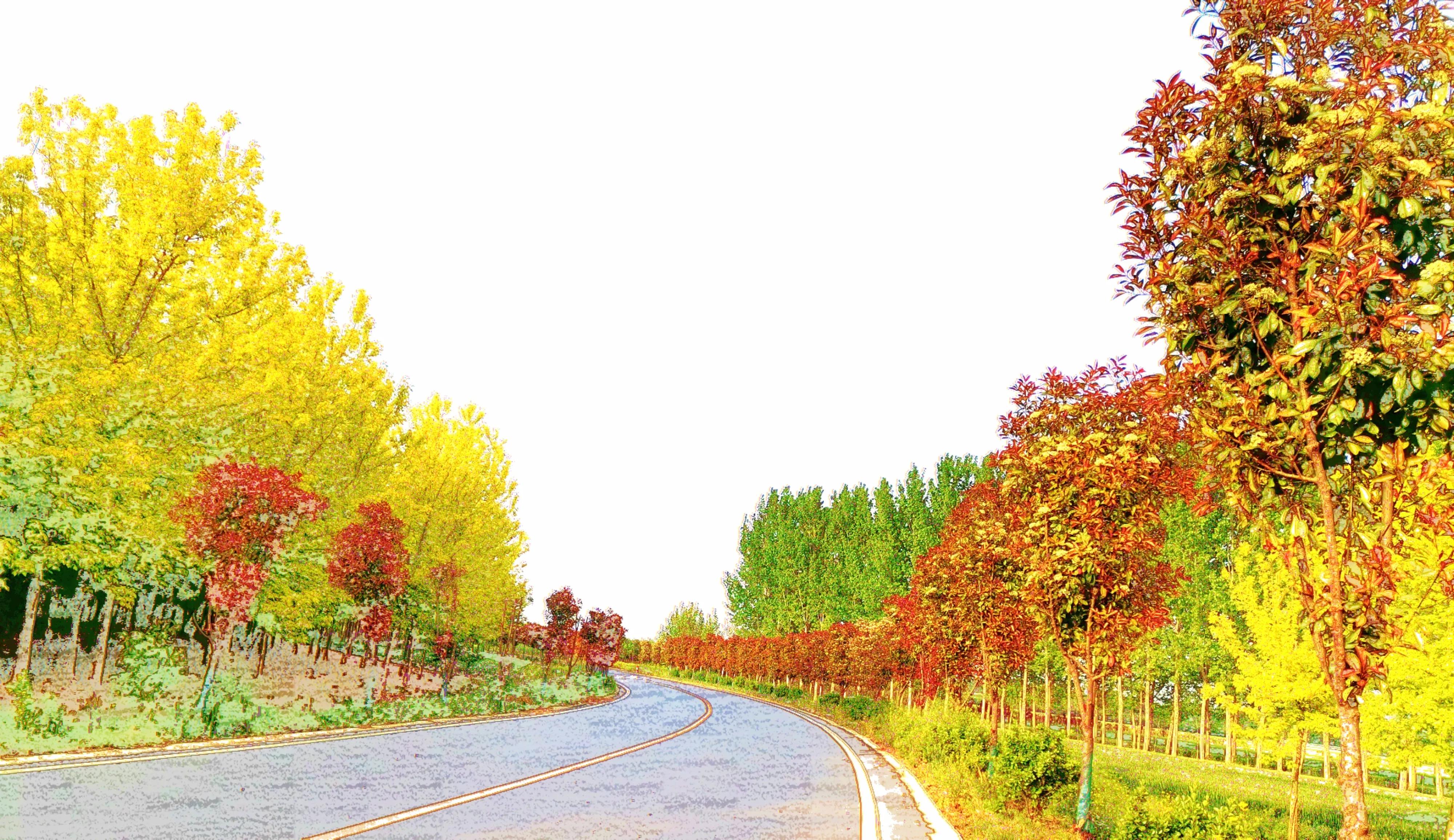 为什么年轻人都不愿意在农村生活,为什么越来越多人喜欢在农村生活