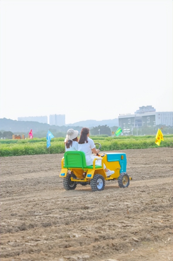 光明旅游攻略大全集,光明一日游必去的地方