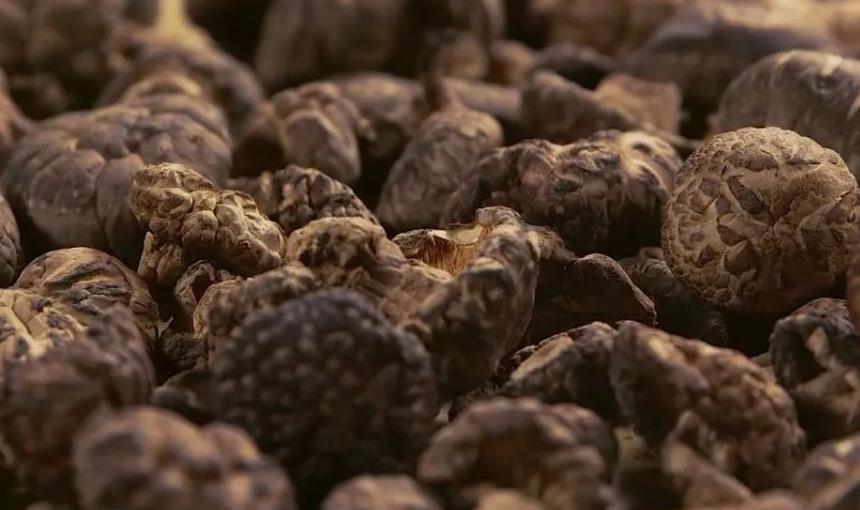 广元寿宴伴手礼,伴手礼广元