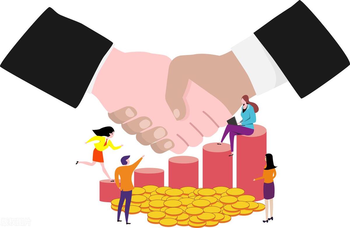 工程项目融资案例,项目融资