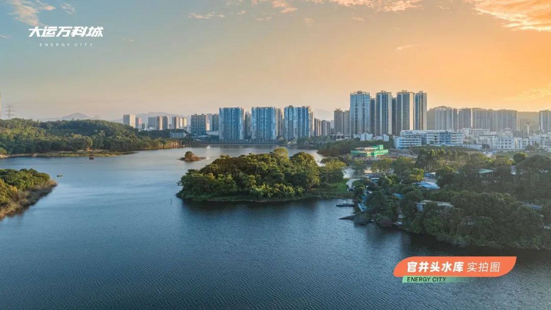 龙岗中心城潜力楼盘,龙岗中心城新建楼盘