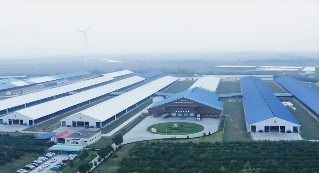 科学育儿观催生高品质择取习惯认养一头牛与时俱进