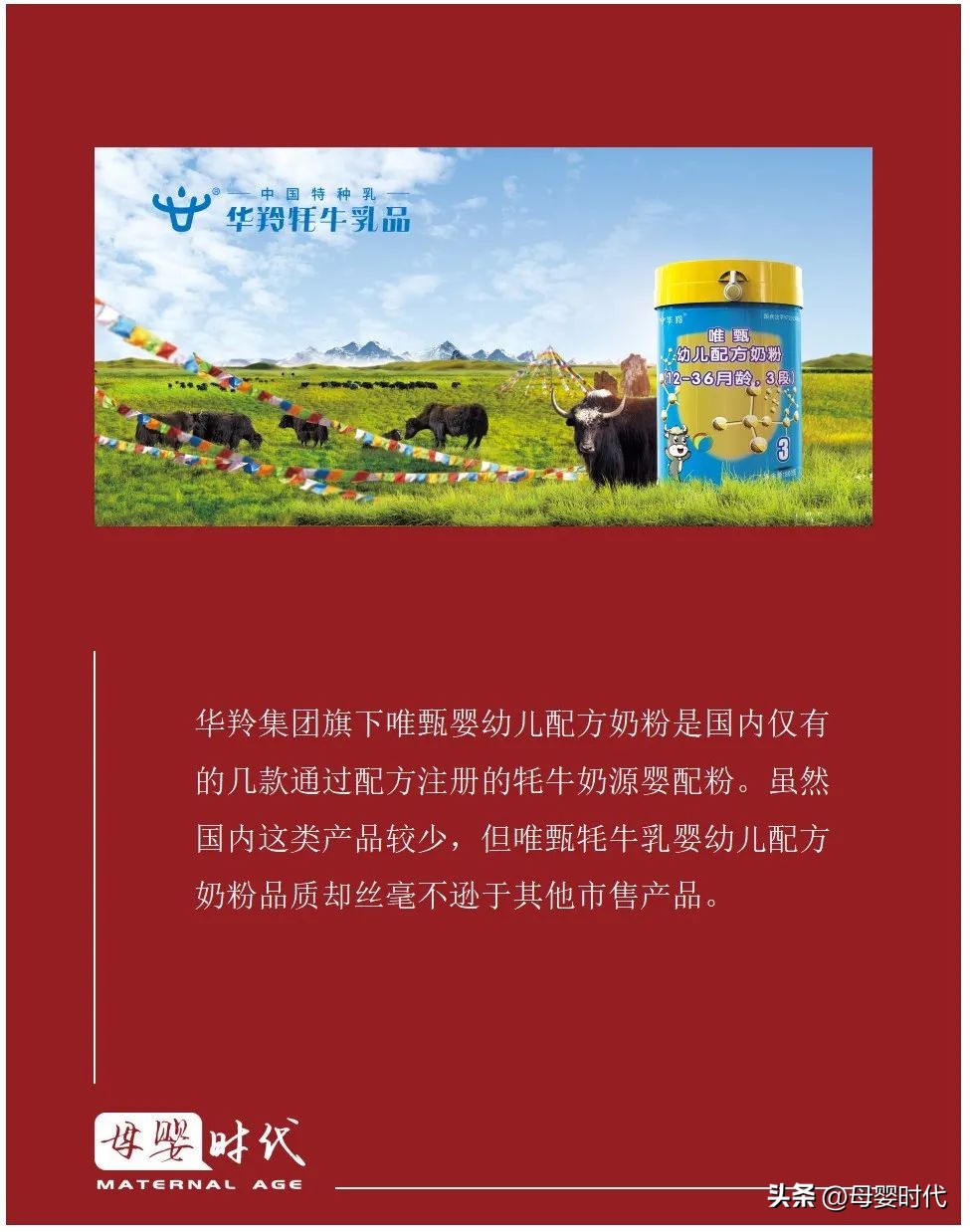 华羚牦牛配方奶粉好处,华羚牦牛奶粉的卖点