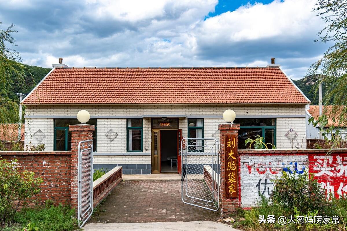 65岁河南大妈月入5万,月入10万六十多岁农村大妈