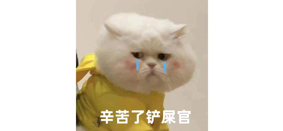 猫砂甲醛排行,纯福猫砂甲醛超标