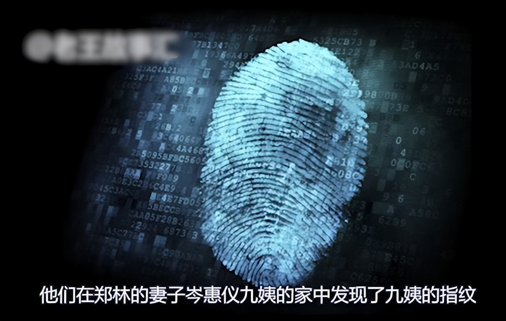 香港叉烧包真实案件,真实香港八仙饭店大案