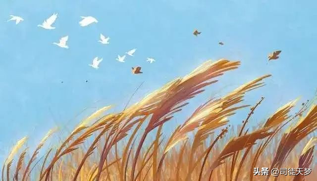 为什么有些女人会“瞧不起”自己的丈夫?分析了三种情况!很现实