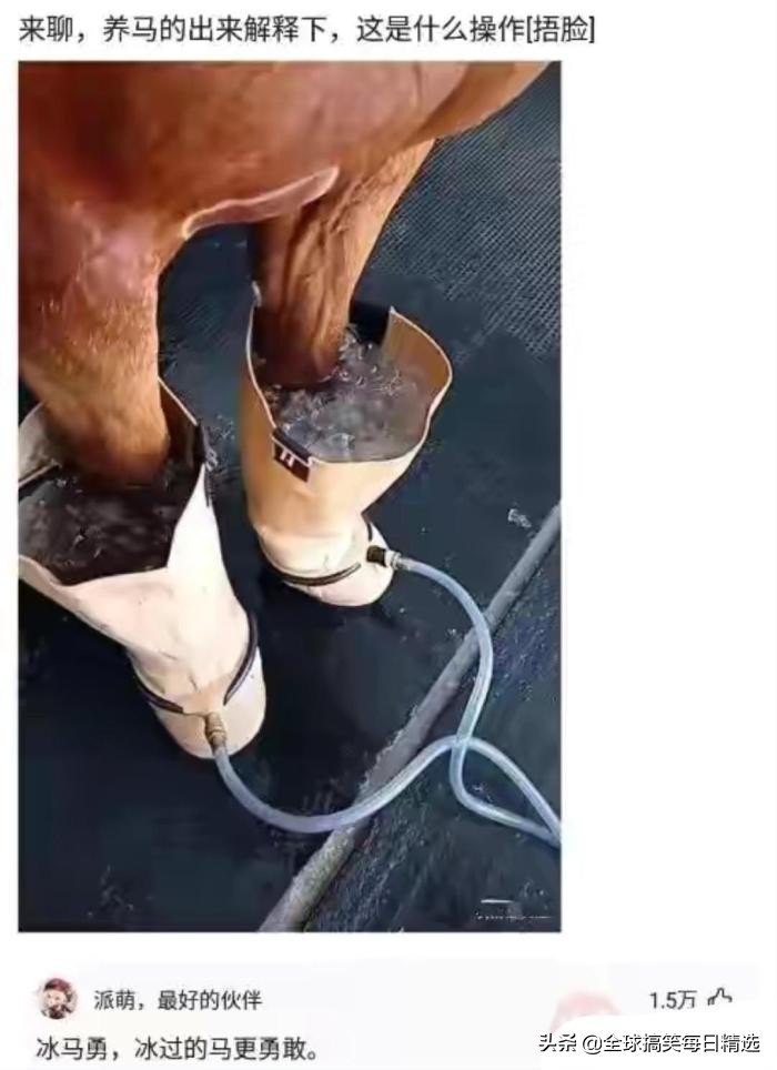 爬山回来为什么手指头长毛,爬山回来手指头长了几根毛