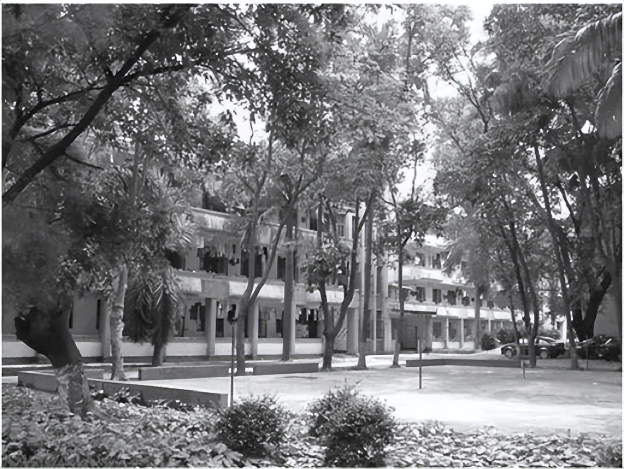 70后眼中的大学036之中南林业科技大学