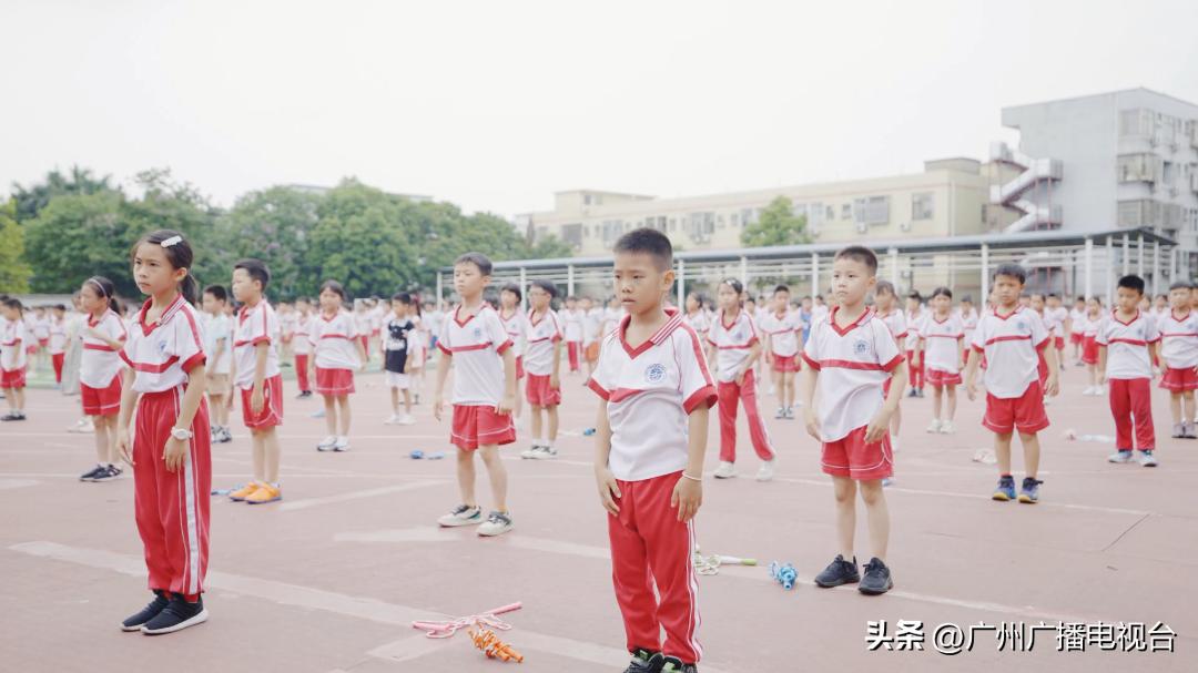 谈笑有鸿儒栏目采访,谈笑有鸿儒节目