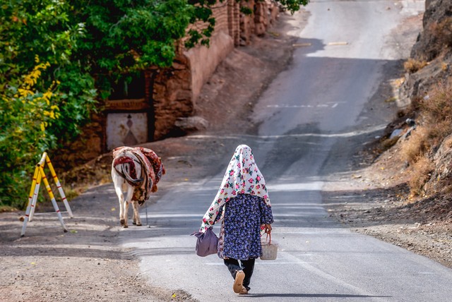 伊朗队和美国队比赛视频,伊朗队对阵美国