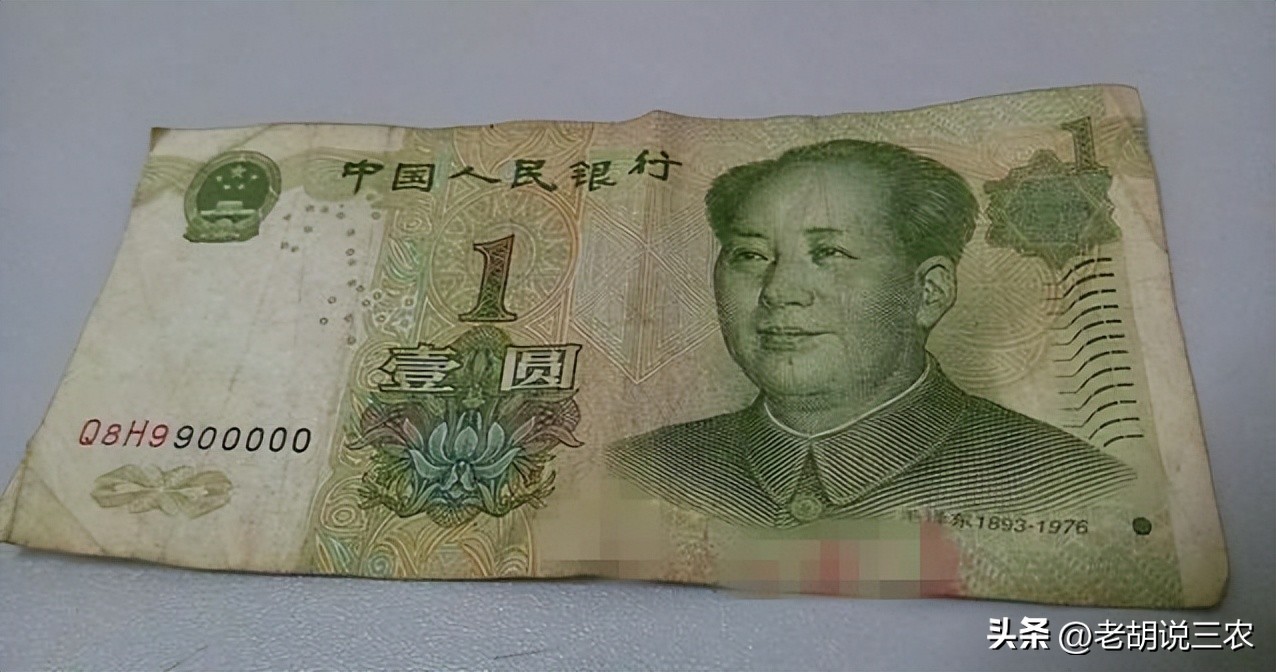 男子捡到一角纸币,男子在草丛发现纸币